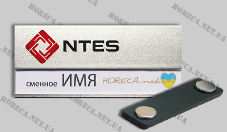 Бейджик магнитный металлический для сотрудников компании по продаже приборов для энергосбережения NTES, город Луганск