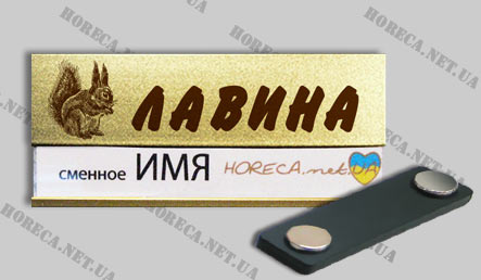 Бейджик магнитный металлический для развлекательного комплекса Лавина, город Киев